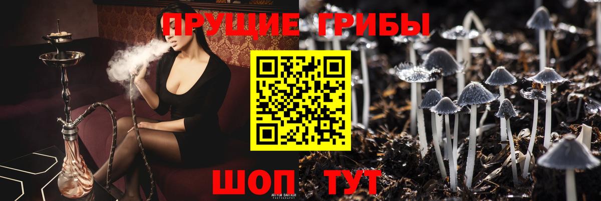 Благодарный  Галлюциногенные грибы Psilocybe  Вход с VPN 